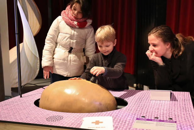Patate : une expo ludique