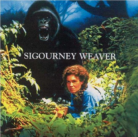 Gorilles dans la brume