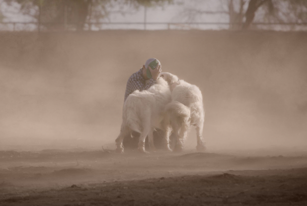Tout est possible (The biggest little farm) - Tempête