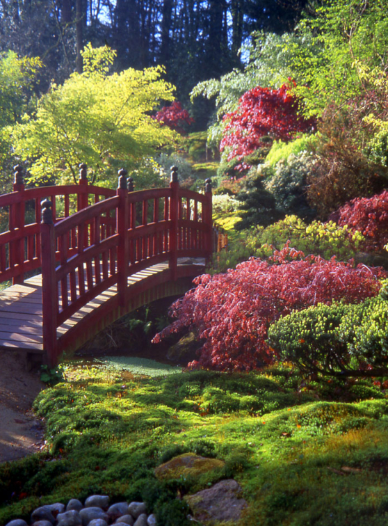 Parc floral de Haute-Bretagne