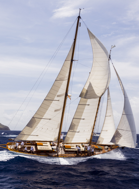 Les voiles d'Antibes