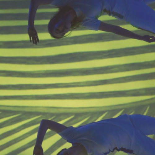 +ERBA, une forêt en ville - Compagnia TPO