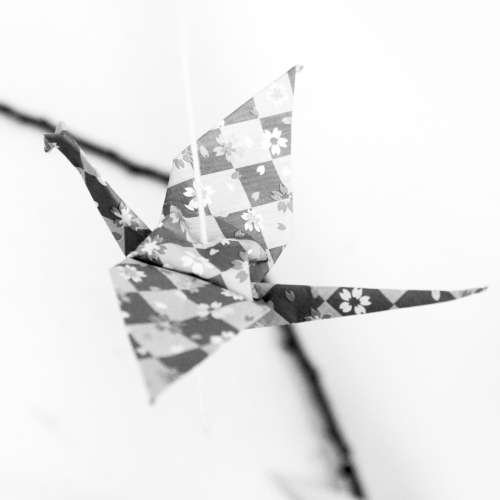 Le voyage en papier - Annie Gallay