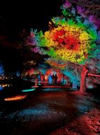 Les Nuits du Parc des Oiseaux