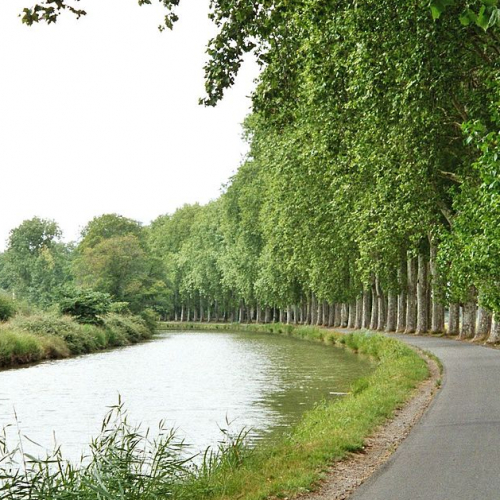 Voie verte Canal du Midi : courbe