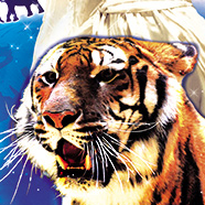 Cirque Medrano - La cité des étoiles