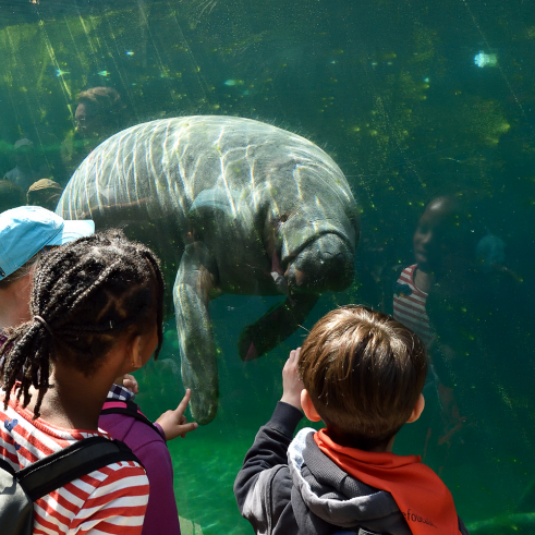 Week-end anniversaire du Parc Zoologique de Paris