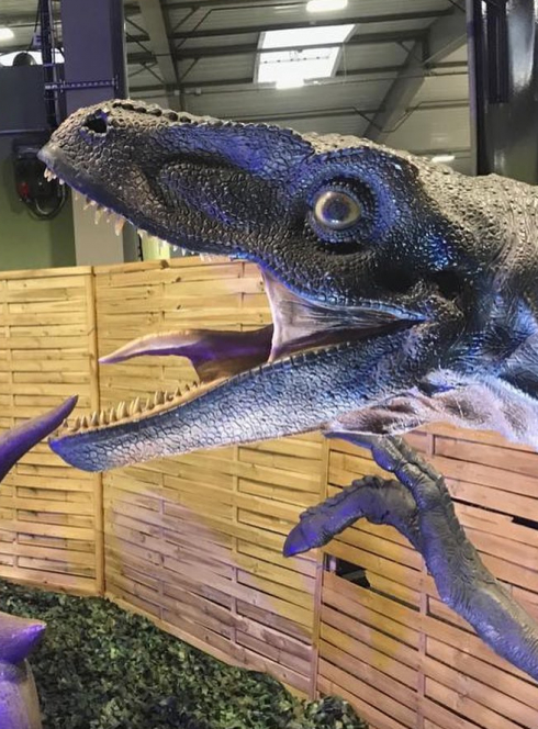 Le Règne des Dinosaures