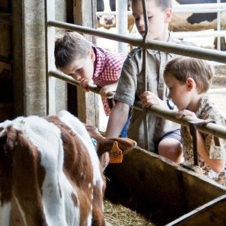 Ferme de Viltain