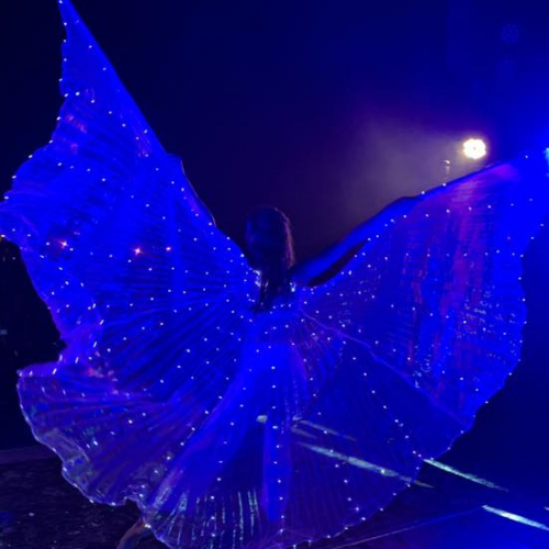 Evazio - François Demené