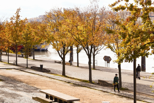 Faire une balade à Lyon