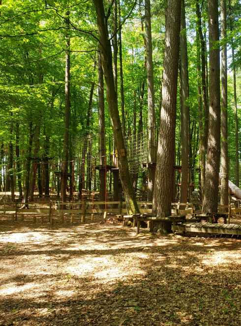 La forêt des défis
