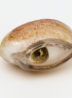 Expo "Le verre, au-delà de la matière : Les collections du Cirva" : Mathilde Rosier, Yeux graines, 2022–2023