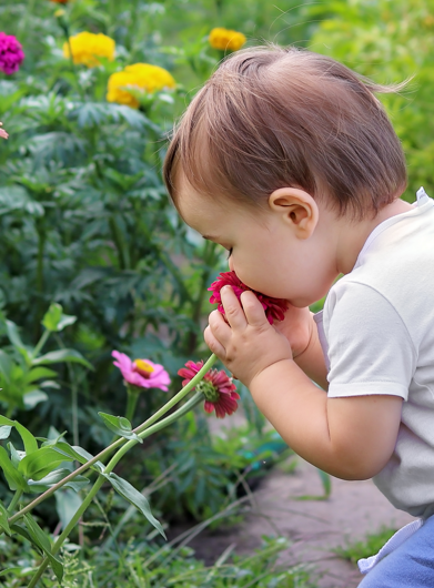 Rendez-vous aux jardins à Montpellier