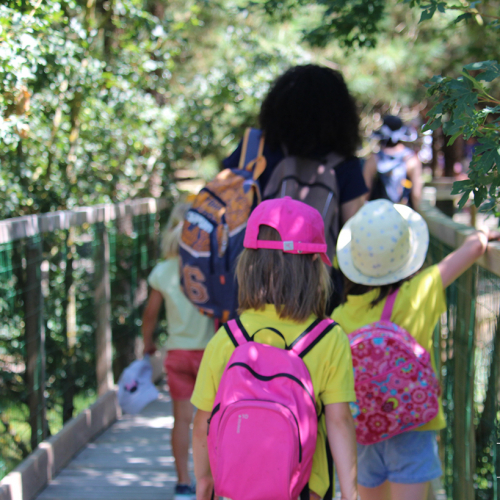 Legendia Parc - Visuel 2019