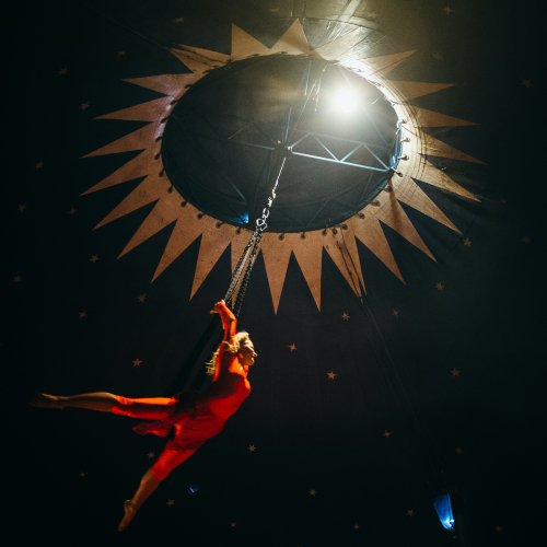 Tous au cirque