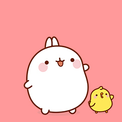 slider dvd mouk et molang