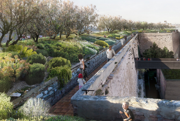 Une autre partie du jardin.