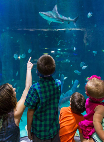 SEA Life en famille