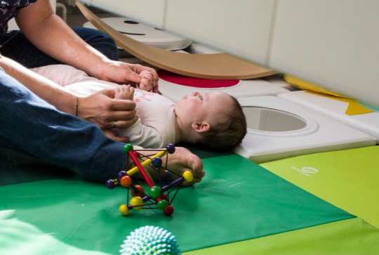 Les bébés des capucines