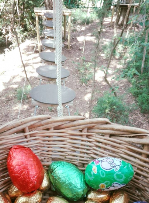 Chasse aux oeufs foret d'acrobates