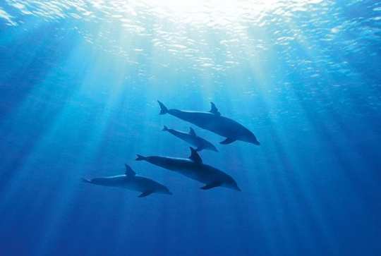 Blue - Affiche française