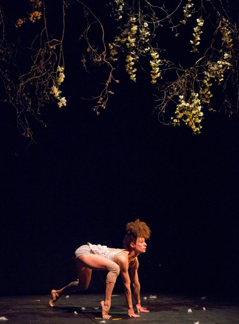 La dernière saison - Cirque Plume