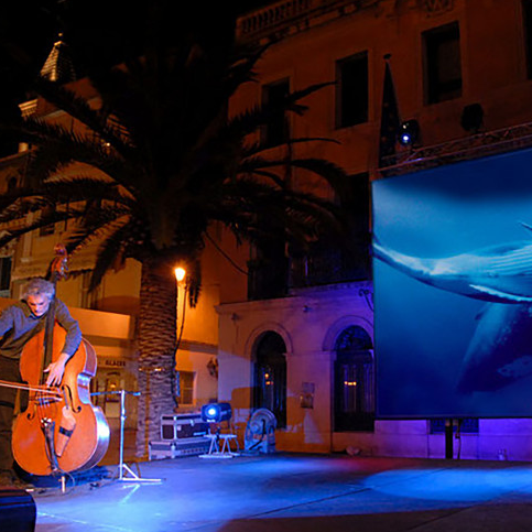 Baleine et contrebasse