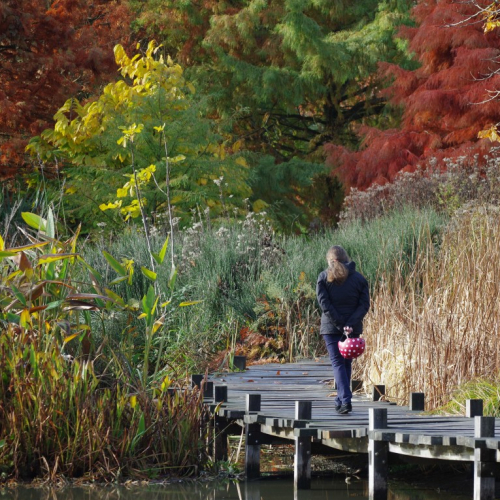 Parc du Grand Blottereau - Nantes