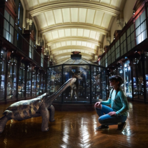 Revivre, les animaux disparus en réalité virtuelle - Tortue géante de Rodrigues