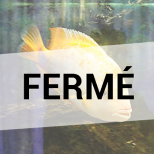 Aquarium de Valréas