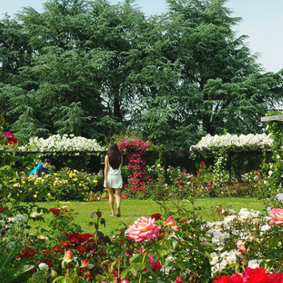 Parc de la Beaujoire : fleurs à Nantes