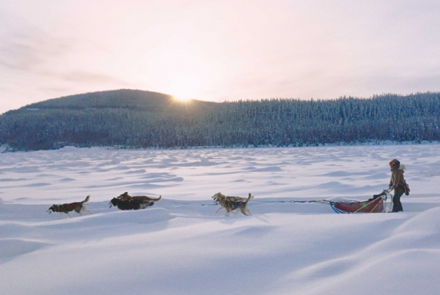 Kina & Yuk : renards de la banquise - traineau