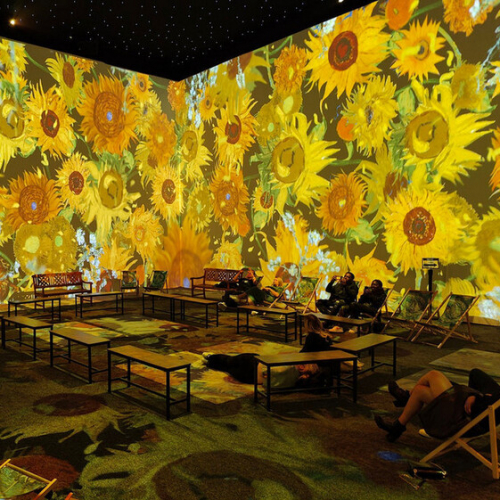 Expo Van Gogh - The Immersive Experience : Le tableau des tournesols projeté dans une salle sur toutes les façades