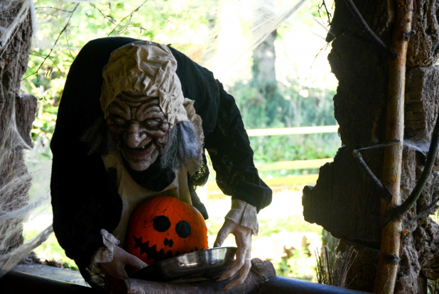 Jardins de Brocéliande : Halloween et vacances d'automne 2022 : sorcière