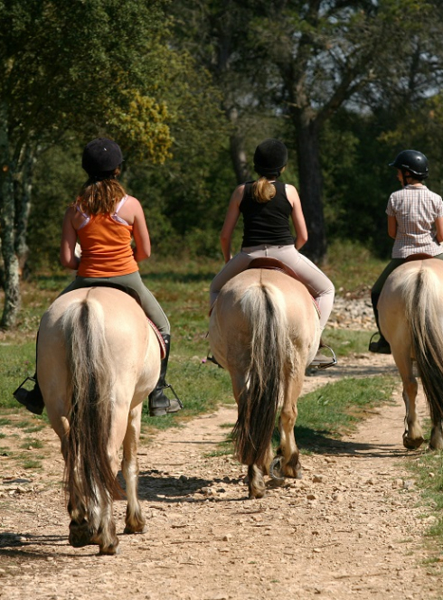 Fête des Jeunes Agriculteurs : Une balade à poney en famille