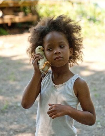 Les bêtes du sud sauvage