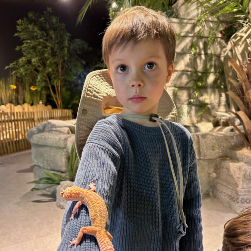 Le Monde de Noé Paris : lézard