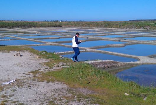 Terre de sel : visites