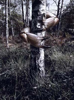 Eloge de l'art par Alain Truong
