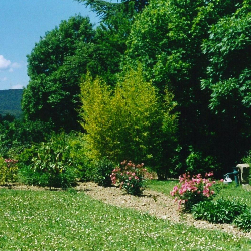 Les jardins d'Aristée