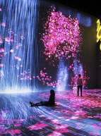 Expo teamLab : au-delà des limites à la Villette
