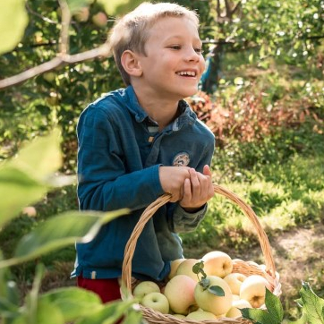 Cueillette de Thorigné