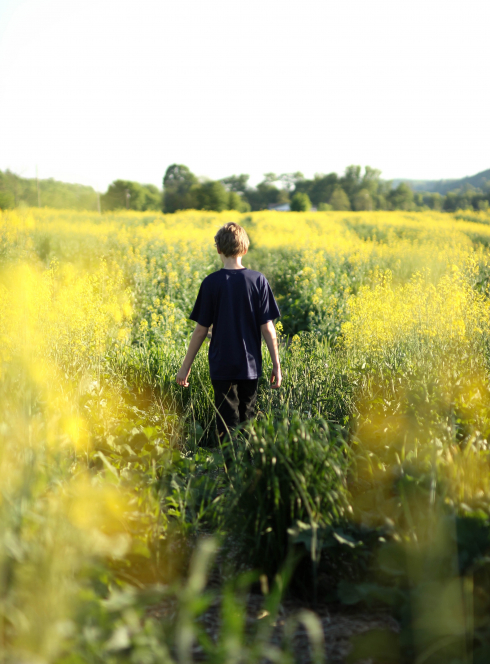 Fête de la Nature 2019 dans les Bouches-du-Rhône