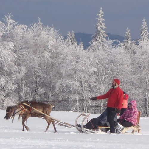 Les Chemins du Nord - La Petite Finlande