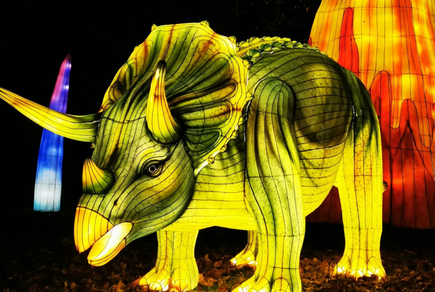 L'Odyssée lumineuse : tricératops