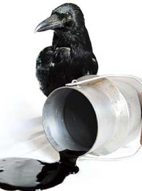 Le Jardin des Sorcières