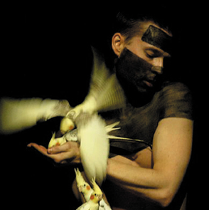 La Confidence des oiseaux