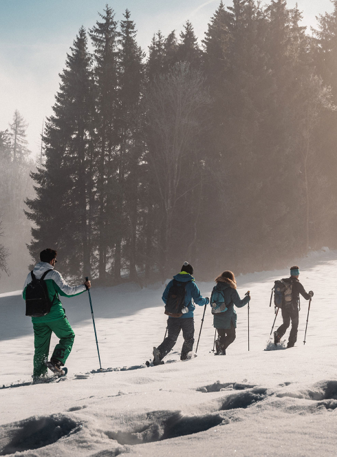 Raquettes avec vue panoramique dans les Monts de Genève