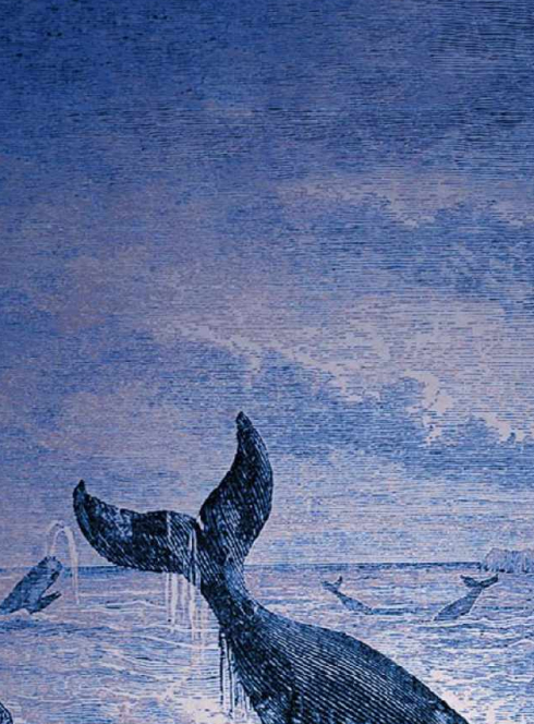 20 000 lieues sous les mers